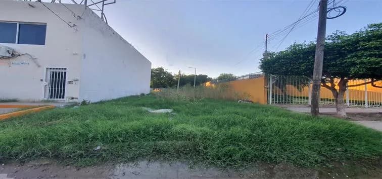 Galería 2