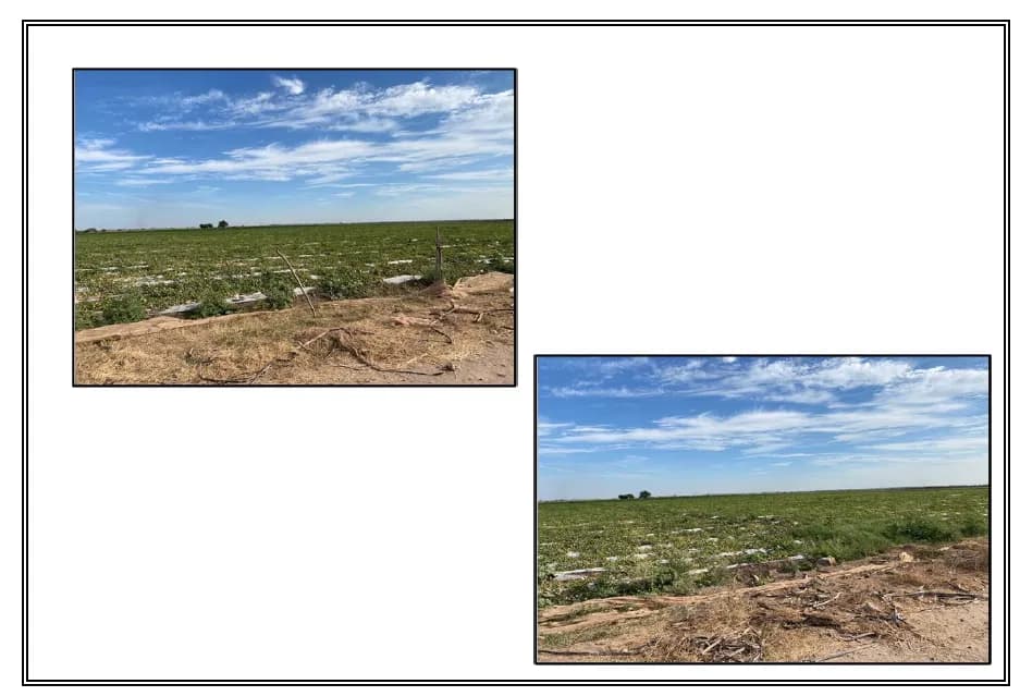 TERRENO RUSTICO PREDIO SANTA ROSA