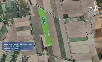 9_2933 | 14.40 HECTAREAS AGRÍCOLAS Ejido Suarez (Campo Gastelum y Cohuibampo), Ahome Sinaloa | Angulo Bienes Raíces